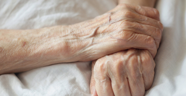 Cesta domů: Pečovatelské návody