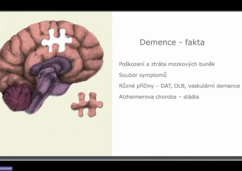 Komunikační dovednosti pečujících ve vztahu k seniorům s demencí