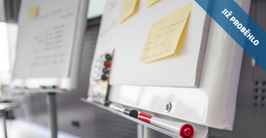 Učící se organizace: Jak zvyšovat kvalitu služby, aniž bychom se úplně vyčerpali?