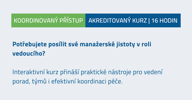 Manažerské dovednosti v case managementu